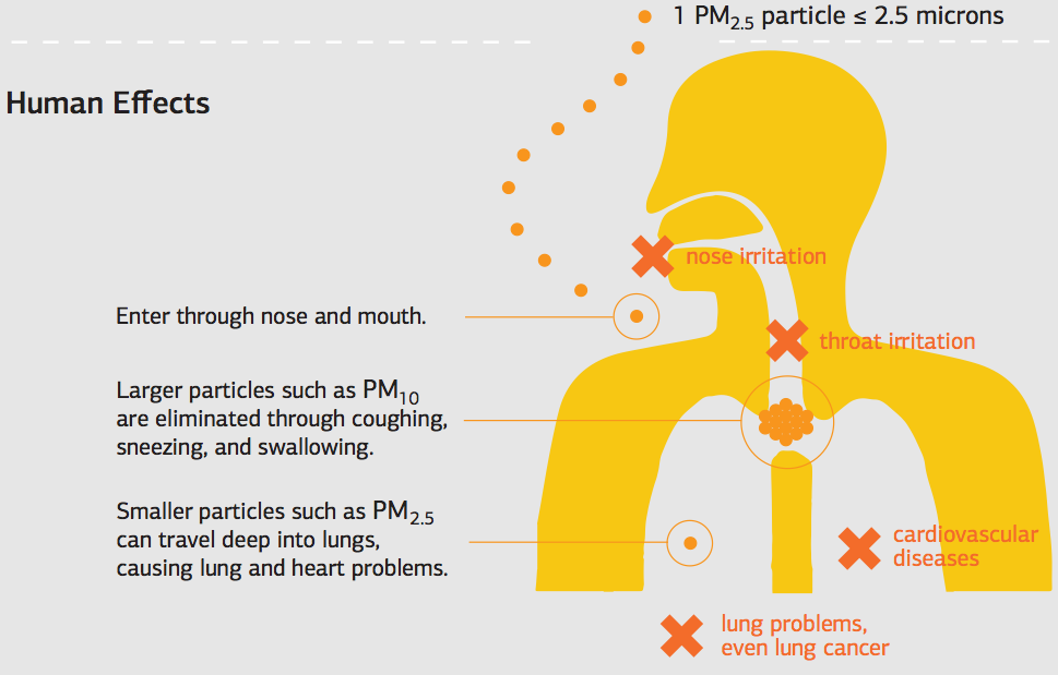 pm2.5和臭氧双污染 化工行业rto焚烧炉一并解