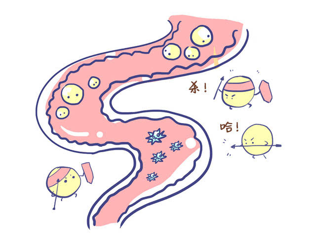 废气有害肠胃？rto蓄热式焚烧炉对废气说不